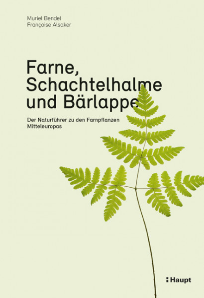 Farne, Schachtelhalme und Bärlappe - Der Naturführer zu den Farnpflanzen Mitteleuropas, Haupt Verlag