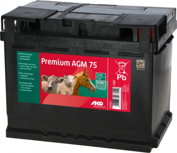 Premium AGM Batterie 12 Volt, 75 Ah, Vließbatterie auslaufsicher, wartungsfrei, extrem zyklusfest