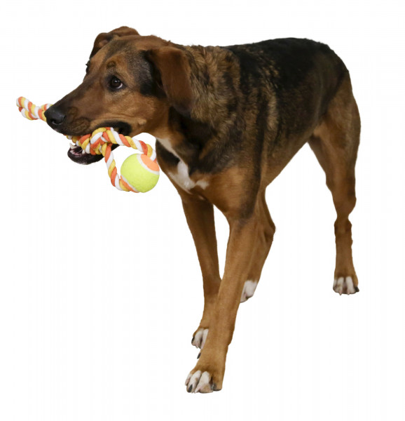 Ball am Tau, robustes Hundespielzeug für Ziehspiele mit Ihrem Hund, 3 Stück