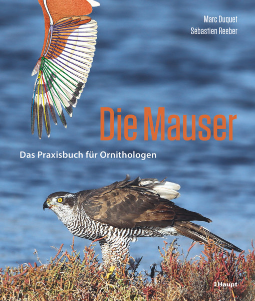 Die Mauser: Das Praxisbuch für Ornithologen, Haupt Verlag, Autoren M. Duquet, S. Reeber
