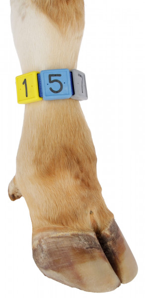 Fußbandnummern zur Tierkennzeichnung, zur Erstellung eines Farbcodes