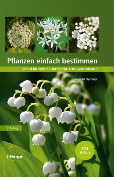 Pflanzen einfach bestimmen, Schritt für Schritt einheimische Arten kennenlernen, Haupt Verlag, Autor P.M. Kammer