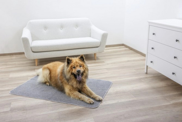Antirutsch-Thermoteppich - flauschige & isolierende Decke für Hunde und Katzen