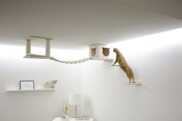 Katzenspielplatz Top zur Wand- und Deckenbefestigung
