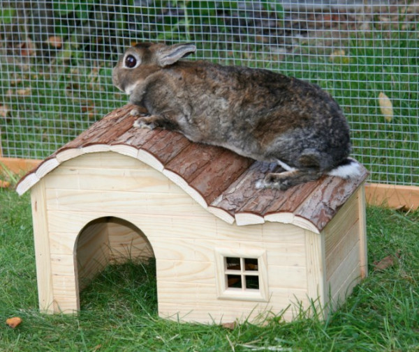 als Unterschlupf oder zum Beklettern ist dieses kleine Häuschen aus rohem Holz mit geschwungenem Dach