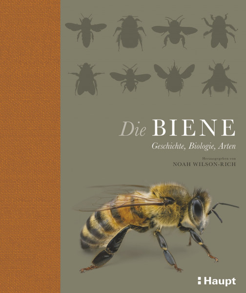 Die Biene: Geschichte, Biologie, Arten; Haupt Verlag, Autor N. Wilson-Rich