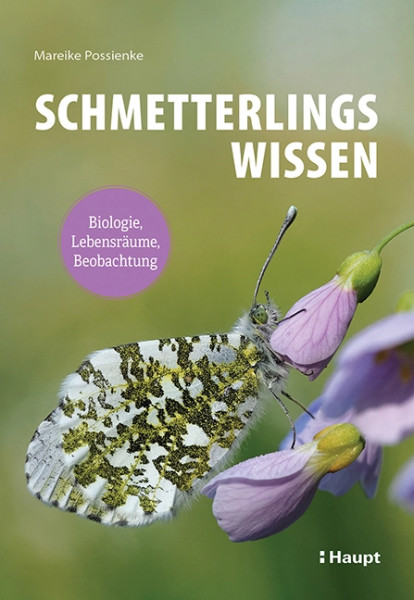 Schmetterlingswissen - Biologie, Lebensräume, Beobachtung, Haupt Verlag, Autorin M. Possienke