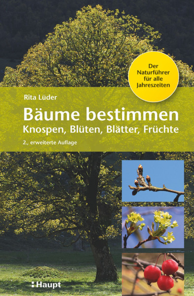 Bäume bestimmen: Knospen, Blüten, Blätter, Früchte, der Naturführer für alle Jahreszeiten, Haupt Verlag, Autor R. Lüder