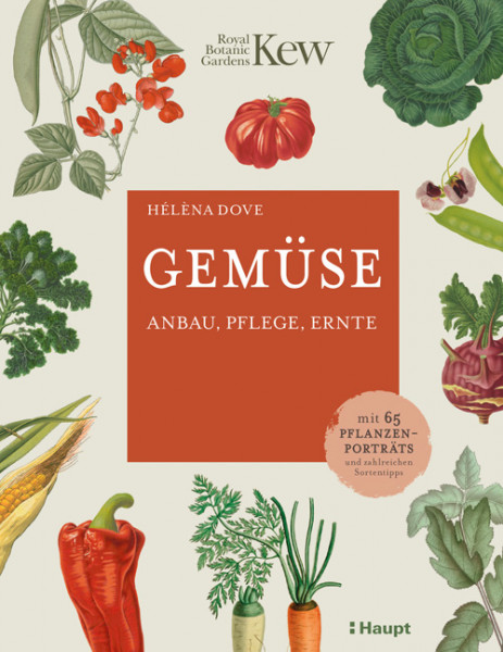 Gemüse - Anbau, Pflege, Ernte, Haupt Verlag, Autorin H. Dove