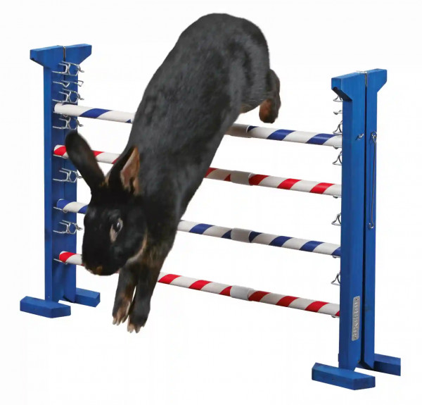 Agility Kombisprung variabel einstellbar als Kreuz-, Steil-, Weit- und A-Sprung