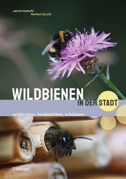 Wildbienen in der Stadt - entdecken, beobachten, schützen, Haupt Verlag, Autor J. Voskuhl, H. Zucchi