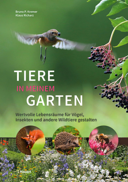 Tiere in meinem Garten, Haupt Verlag, Autoren B.P. Kremer, K. Richars