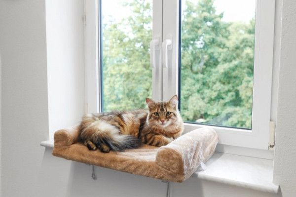 Kuscheliges Fensterliegebrett für Katzen