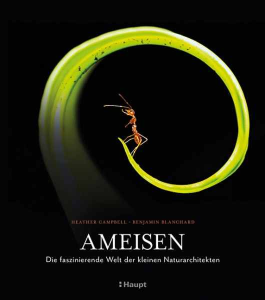 Ameisen, Haupt Verlag, Autoren H. Campell & B. Blanchard