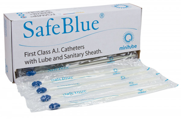 SafeBlue® Foamtip Schaumstoffkatheter einzeln verpackt, 100 Stück