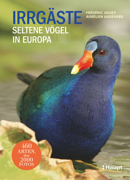Irrgäste: Seltene Vögel in Europa, Haupt Verlag, Autoren F. Jiguet, A. Audevard