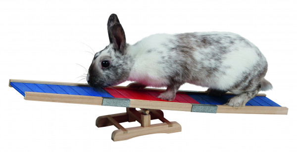 Agility Wippe für Kaninchen und Meerschweinchen, fördert den Bewegungsdrang Ihres Tiere