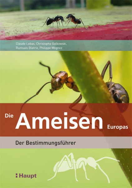 Die Ameisen Europas - Der Bestimmungsführer, Haupt Verlag, Autoren C. Lenas et al.