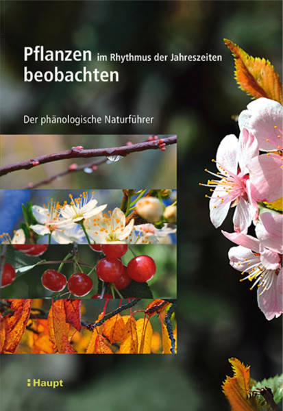 Pflanzen im Rhythmus der Jahreszeiten beobachten: Der phänologische Naturführer, Haupt Verlag, Autoren V. Badeau et la