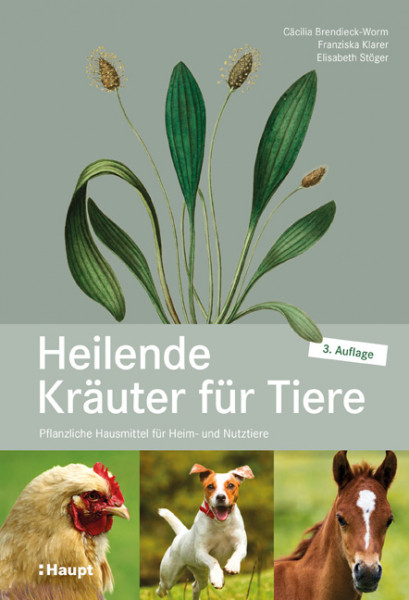 Heilende Kräuter für Tiere - Pflanzliche Hausmittel für Heim- und Nutztiere, Haupt Verlag