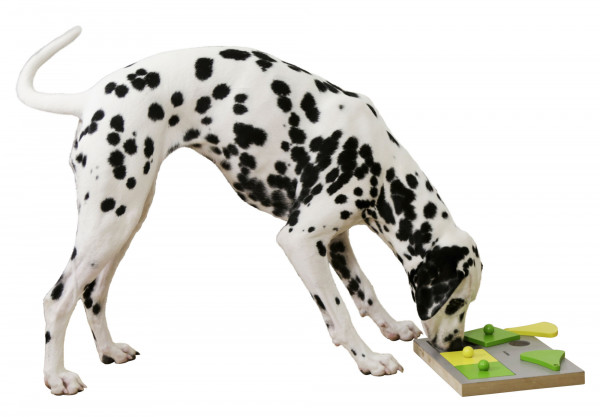 Denk- und Lernspielzeug Cake bietet Ihrem Hund die Möglichkeit sich zu beschäftigen