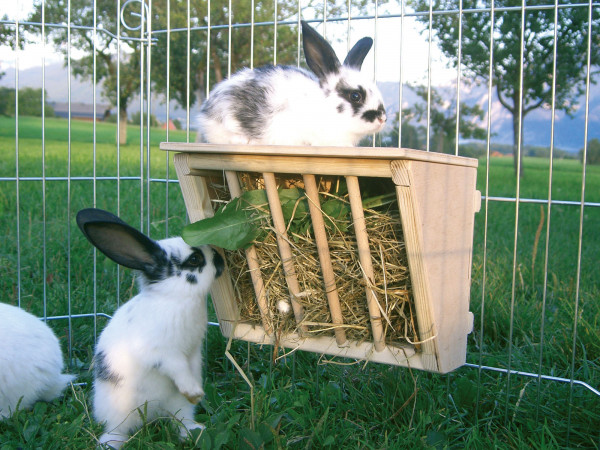 Heuraufe aus Vollholz für Kaninchen und andere Nager, Futterraufe mit Sitzbrett für Kleintiere