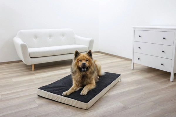 Matratze Memory-Foam - optimal für ältere oder kranke Tiere