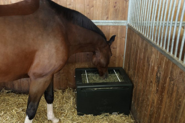 Futterraufe HayBox für die artgerechte Fütterung von Pferden, Box mit Fressgitter