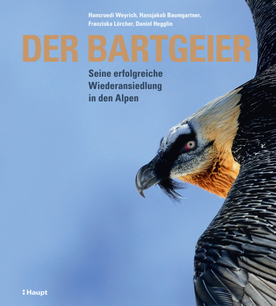 Der Bartgeier - Seine erfolgreiche Wiederansiedlung in den Alpen, Haupt Verlag