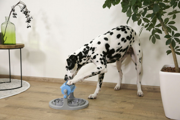 Snackrolle Anti-Schling, fördert die körperliche und geistige Aktivität Ihres Hundes