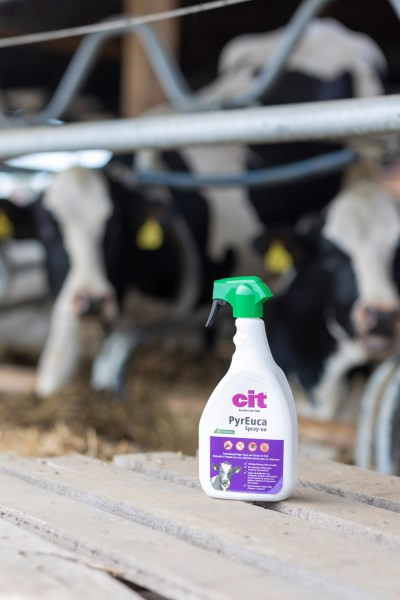 cit PyrEuca - Insektenabwehr, Spray in der Kunststoffflasche für den Einsatz im Stallbereich