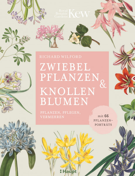 Zwiebelpflanzen & Knollenblumen: pflanzen, pflegen, vermehren - mit 66 Pflanzenporträts, Haupt Verlag, Autor R. Wilford