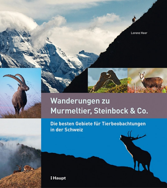 Wanderungen zu Murmeltier, Steinbock & Co, Haupt Verlag, Autor L. Heer