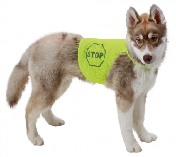 Sicherheitsweste für Hunde, neonfarben, für mehr Sicherheit für Ihren Hunds