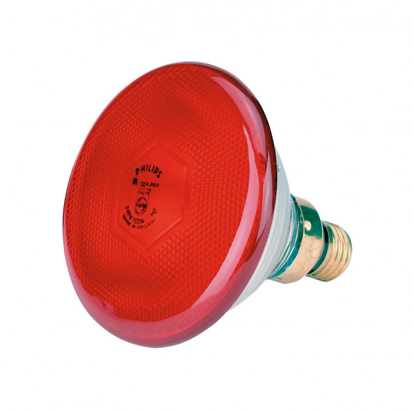 Infrarot-Sparlampe von Philips, Farbe rot, robuste Ausführung durch Pressglas